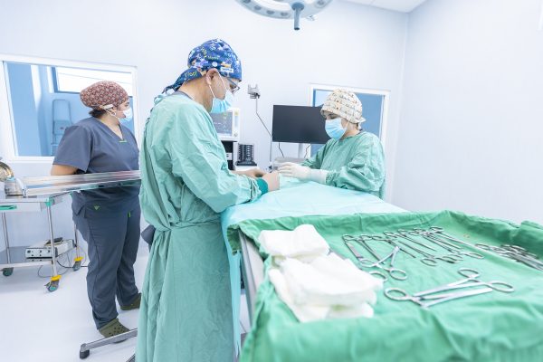 Cirurgia mascotes Hospital Veterinari Costa Brava