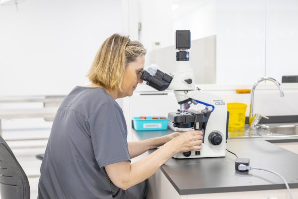 Microscopi de laboratori a Hospital Veterinari Costa Brava de Girona